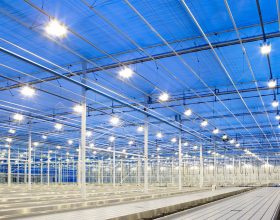 INDUSTRIAL LIGHTS